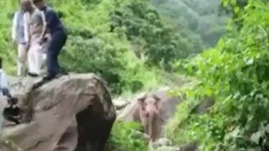 Trivendra Singh Rawat Climbs Rock to Save Himself: কনভয়ের সামনে হাতি! প্রাণে বাঁচতে পাহাড়ে চড়ছেন উত্তরাখণ্ডের প্রাক্তন মুখ্যমন্ত্রী  (দেখুন ভিডিও)