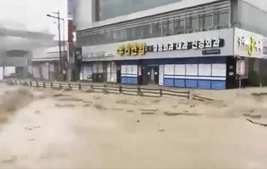 Typhoon Hinnamnor: শক্তিশালী টাইফুন হিন্নামনরের থাবায় দক্ষিণ কোরিয়ায় মহাবিপর্যয়, জলের তোড়ে ভেসে যাচ্ছে মানুষ