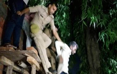 Uttar Pradesh: স্ত্রীর ডাকে বিদ্যুতের টাওয়ার থেকে নামলেন স্বামী, দাম্পত্য প্রেমের প্রশংসায় পঞ্চমুখ নেটিজেনরা (দেখুন ভিডিও)