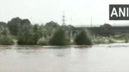 Video: এক নাগাড়ে বৃষ্টিতে জলস্তর বাড়ছে যমুনা নদীর, ভিডিয়ো দেখে আতঙ্ক