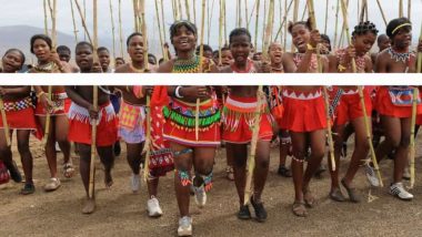 South Africa Traditiona Dance: কোভিড মহামারী পেরিয়ে আবার দক্ষিণ আফ্রিকায় ফিরল জুলু প্রজাতির রিড নৃত্য উৎসব(দেখুন ভিডিও)