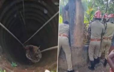 Man Rescued From Well After One And A Half Days: দেড় দিন পর গভীর নলকূপ থেকে উদ্ধার ব্যক্তি, দেখুন ভিডিও