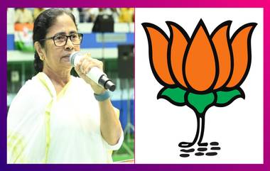 Mamata Banerjee: 'দেশটাকে বিকিয়ে দিয়েছে', তীব্র আক্রমণ মমতার