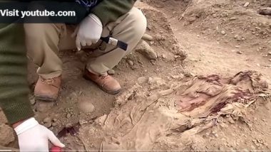 Video: মধ্য পেরুর উপকূলে লিমার পার্ক অফ লেজেন্ডস-এ মিলল আট শতাব্দী-পুরোনো মমি (দেখুন ভিডিও)