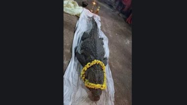 Crocodile Babiya Dies: মারা গেল কেরলের 'নিরামিষভোজী' কুমির বাবিয়া, দেখুন ভি়ডিয়ো