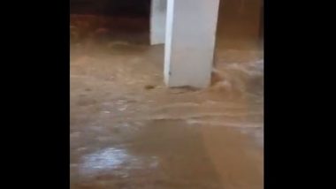 Video: নদী নয়, বেসমেন্ট, এক নাগাড়ে বৃষ্টিতে ভাসছে বেঙ্গালুরু, দেখুন ভিডিয়ো