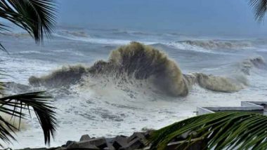 Cyclone Mandous: সাইক্লোন মন্দৌসের প্রভাবে তছনছ চেন্নাই, রাস্তায় জমে জল-উপড়ে পড়েছে গাছ
