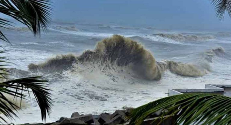 Cyclone Mandous: সাইক্লোন মন্দৌসের প্রভাবে তছনছ চেন্নাই, রাস্তায় জমে জল-উপড়ে পড়েছে গাছ