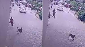 Dog Attack: কিশোরীকে কামড়াতে উদ্যত রাস্তার কুকুর, বাঁচালেন নিরাপত্তারক্ষীরা