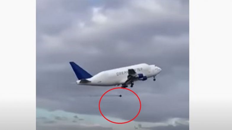 AirAsia Flight: লখনৌ বিমানবন্দরে টেক অফের সামনে পাখির ধাক্কায় বিপত্তি কলকাতাগামী বিমানের