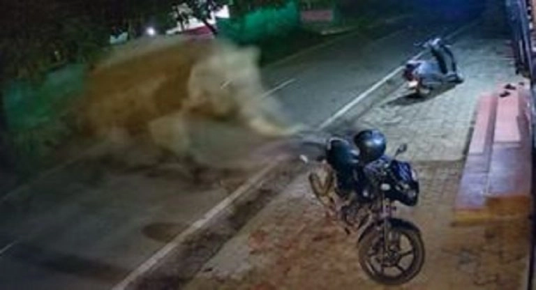 Video: কেরলের রাস্তায় ছুটছে বন্য হাতি, ভয়ে সরে গেলেন মানুষ, দেখুন ভিডিয়ো