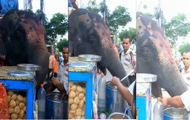 Viral Video: হাত বাড়িয়ে নয় শুড় বাড়িয়ে গলায় ঢুকছে একের পর এক ফুচকা,গুয়াহাটির মিষ্টি এই ভিডিও ভাইরাল সোশ্যাল মিডিয়ায় (দেখুন ভিডিও)