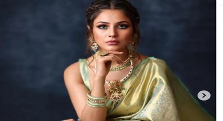 Shehnaaz Gill: শেহনাজ গিলকে স্পর্শের চেষ্টা, কী করলেন অভিনেত্রী দেখুন ভিডিয়ো