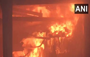 Fire In Bantala: কালীপুজোর দিন ভয়াবহ অগ্নিকাণ্ড বানতলায়, ছড়াল প্রবল আতঙ্ক