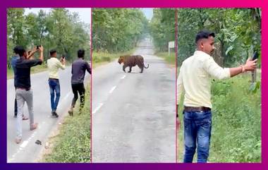 Selfie With Tiger: বাঘের সঙ্গে ছবি, বিরক্ত নেটিজেনরা