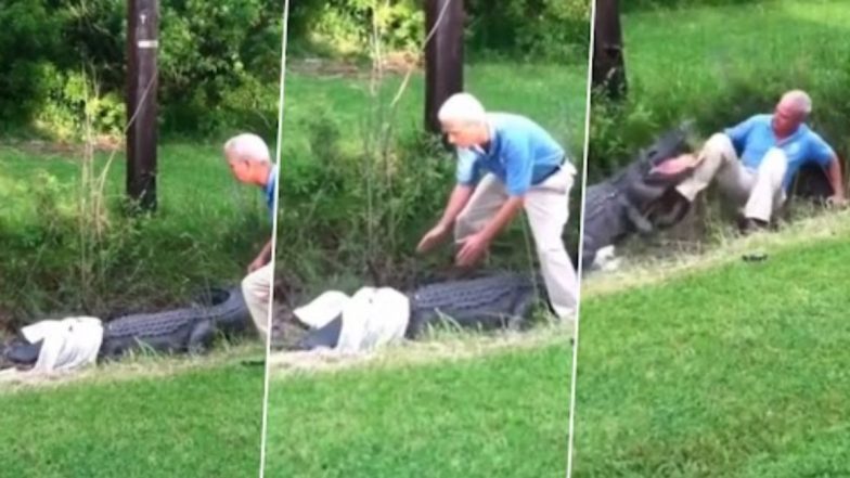 Viral Alligator Attack: কুমিরের আক্রমণের হাত থেকে অল্পের জন্য রক্ষা বৃদ্ধের, ভাইরাল ভিডিও দেখে চমকে নেটিজেনরা