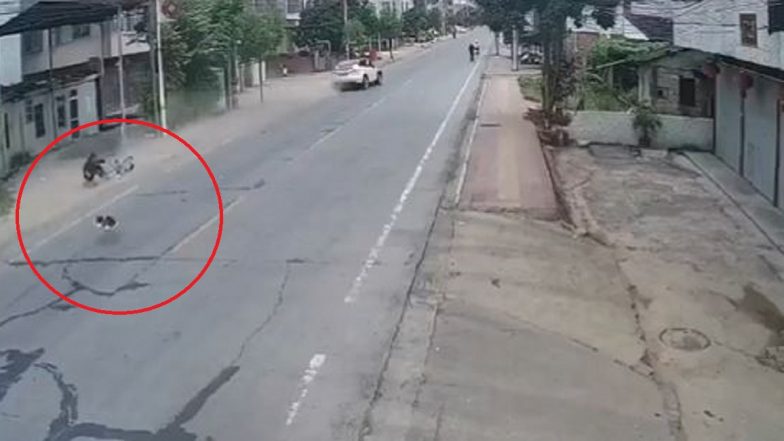 Video: পথচারীদের ধাক্কা দিয়ে, মেরেধরে এগিয়ে চলল টেসলার গাড়ি, দেখুন ভয়াবহ ভিডিয়ো