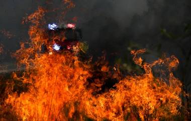 Uttarakhand Forest Fires: উত্তরাখণ্ডে আগুনে পুড়ে ছাই ৭৮ হেক্টর বনভূমি