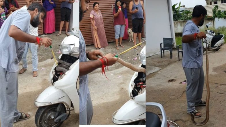 Viral video: দৈত্যাকার কোবরাকে খালি হাতে ধরে নেটিজেনদের অবাক করলেন এক যুবক, দেখুন সেই ভিডিও