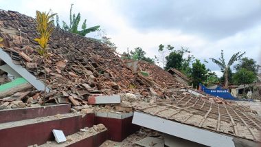 Indonesia Earthquake Video: ইন্দোনেশিয়ায় প্রবল ভূমিকম্প, আহত ৭০০, নিহত ৪৬, দেখুন ভিডিয়ো
