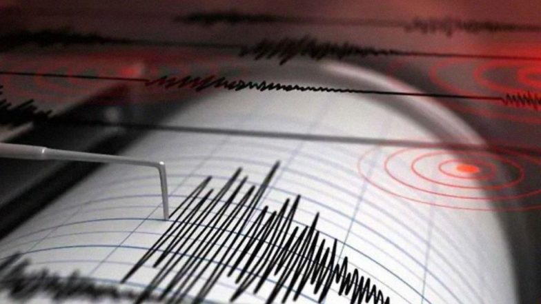Vanuatu Earthquake: ভানায়াতুতে ৭ মাত্রার ভয়াবহ ভূমিকম্প, জারি সুনামী সতর্কতা, দেখুন ভিডিয়ো