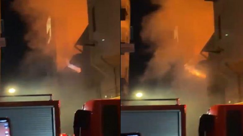Maldives Fire Video: মালদ্বীপে ভয়াবহ আগুনে ঝলসে মৃত্যু ৯ ভারতীয়র, দেখুন ভিডিয়ো