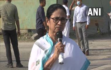 Mamata Banerjee On Morbi Bridge: ইডি, সিবিআই কেন তদন্ত করছে না? গুজরাটের মোরবি সেতু দুর্ঘটনায় প্রশ্ন মুখ্যমন্ত্রীর