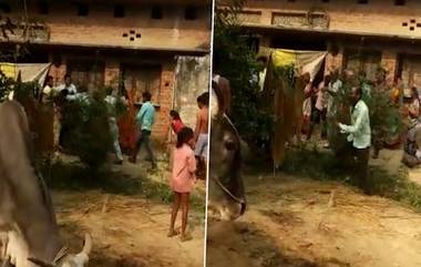 Miscreant Beats Woman: উত্তরপ্রদেশে মা-মেয়েকে লাঠি দিয়ে পেটাচ্ছে দুষ্কৃতী, দেখুন ভিডিয়ো