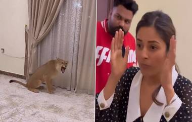 Shehnaaz Gill Video: 'বাঘিনীর' সঙ্গে সাক্ষাৎ সিংহ শাবকের, দেখুন শেহনাজ গিলের ভাইরাল ভিডিয়ো