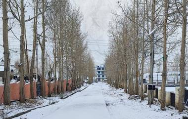 Snowfall: বরফের চাদড়ে ঢেকে পর্যটকদের ডাকছে গুলমার্গ