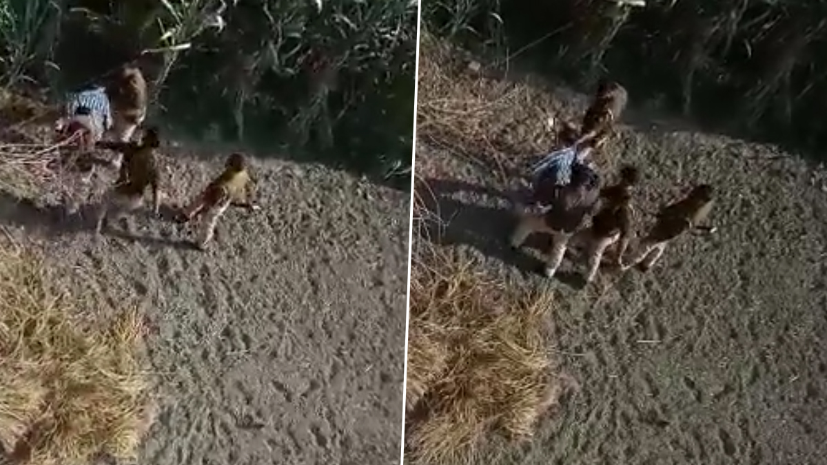 Uttar Pradesh Shocker Video: পুলিশি 'নির্যাতনেই' মৃত্যু? ভিডিয়ো ভাইরাল হতেই তোলপাড়, দেখুন