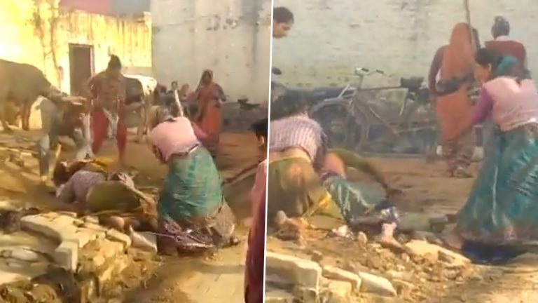 Video: মাটিতে ফেলে লাঠি দিয়ে নির্মম মার, ভাইরাল ভিডিয়ো দেখে চোখে জল মানুষের