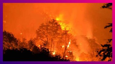 Italy Wildfires: জঙ্গলে আগুন লাগিয়ে দাবানল বাঁধানো দুষ্কৃতীকে ধরল ড্রোন, দেখুন ভিডিয়ো