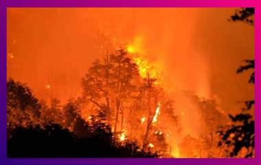 Italy Wildfires: জঙ্গলে আগুন লাগিয়ে দাবানল বাঁধানো দুষ্কৃতীকে ধরল ড্রোন, দেখুন ভিডিয়ো