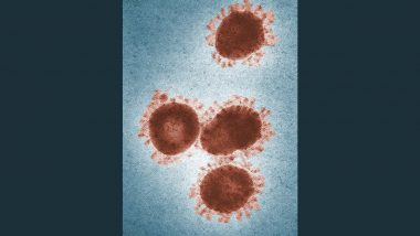 Zombie Virus: জেগে উঠছে ৪৮৫০০ বছর ধরে হিমায়িত থাকা ‘জম্বি ভাইরাস’, রিপোর্ট ঘিরে চাঞ্চল্য