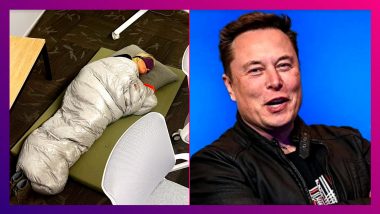 Elon Musk: চাকরির ভয়, অফিসেই ঘুম ট্যুইটারের কর্মীর