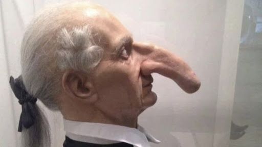 Man With World’s Largest Nose: বিশ্বের সব থেকে উঁচু নাক তাঁর, ১৯ মিটারের নাক নিয়ে গড়েছেন গিনিস রেকর্ড