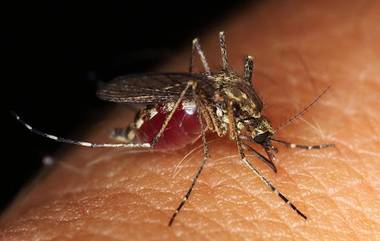 Malaria:মশা মারতে কামান দেগেই সাফল্য! পাঁচ বছর ধরে ম্যালেরিয়ায় মৃত্যুহীন কাম্বোডিয়া