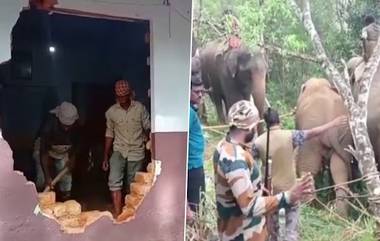 Wild Elephant Attack: তামিলনাড়ুতে হাতির হানায় ক্ষতিগ্রস্ত ৫০টির বেশি বাড়ি