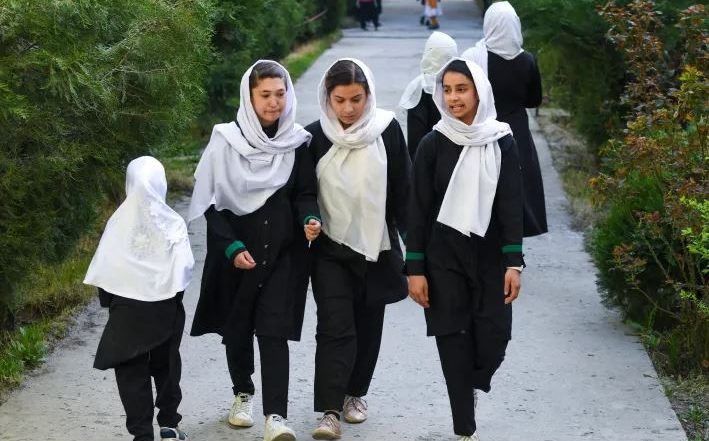 Taliban Bans University for Women: বিশ্ববিদ্যালয়স্তরে পড়াশোনা বন্ধ আফগান মহিলাদের, তালিবানের সিদ্ধান্তে আশঙ্কার মেঘ, বলল রাষ্ট্রসংঘ
