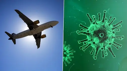 International Traveller's New Rule In India: বিদেশ থেকে আগত সকল বিমানযাত্রীদের জন্য এয়ার সুবিধা ফর্ম পূরণ করা বাধ্যতামুলক, জানাল ভারত সরকার