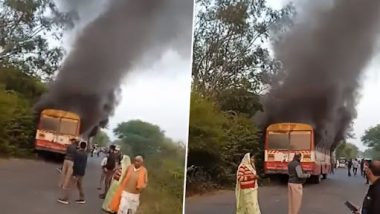 Bus Catches Fire: রাস্তার মাঝখানে দাউদাউ করে জ্বলছে বাস, ভয়াবহ ভিডিয়ো