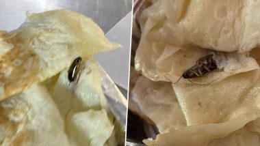 Passenger Finds Cockroach in Rajdhani Express's Food: রাজধানী এক্সপ্রেসের খাবার আরশোলা, যাত্রীর দাবিতে শোরগোল