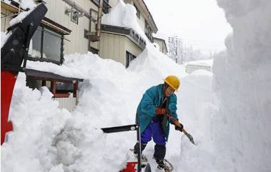 Japan: রেকর্ড হারে কমছে জন্মহার, জাপানে নার্সারি স্কুলে শিশুর অভাবে ফাঁকা