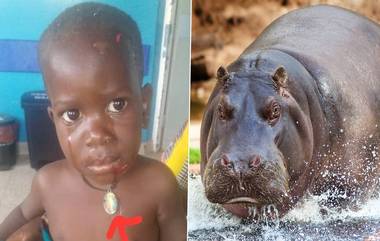 Kid Swallowed By Hippopotamus: জলহস্তির পেট থেকে বেরিয়ে এল জীবিত শিশু, ভয়াবহ ঘটনা