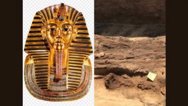 Mummies With Gold Tongues: মিশরে খোঁজ মিলল সোনার জিভ লাগানো একাধিক মমির!