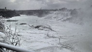 Niagara Falls Frozen Video: তাপমাত্রা হিমাঙ্কের নীচে, বরফে পরিণত নায়গ্রা জলপ্রপাত, দেখুন