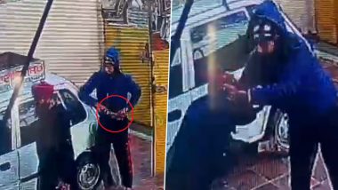 Punjab Shocker Video: কাকার উপর হামলা নেশাড়ু ভাইপোর, দেখুন ভয়াবহ ভিডিয়ো
