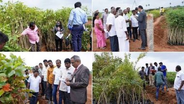 Tree Plantation In Tamil Nadu: ৪ ঘণ্টায় ৬ লক্ষ গাছ পুঁতে বিশ্বরেকর্ড তৈরির উদ্যোগ তামিলনাড়ুর খাদ্যমন্ত্রীর