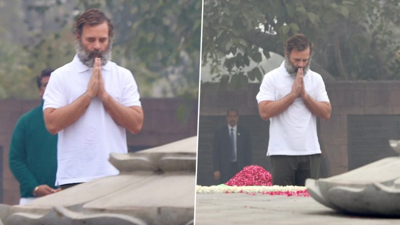 Rahul Gandhi Walks Delhi Wearing T-Shirt Amid Cold Wave: দিল্লির কনকনে শীতে টিশার্ট পরে ঘুরছেন রাহুল, চমকে উঠলেন মানুষ